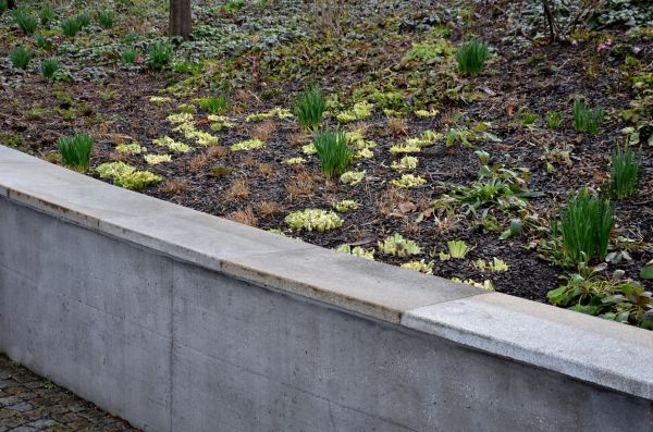 Cost of Concrete Wall Construction in Fort Collins