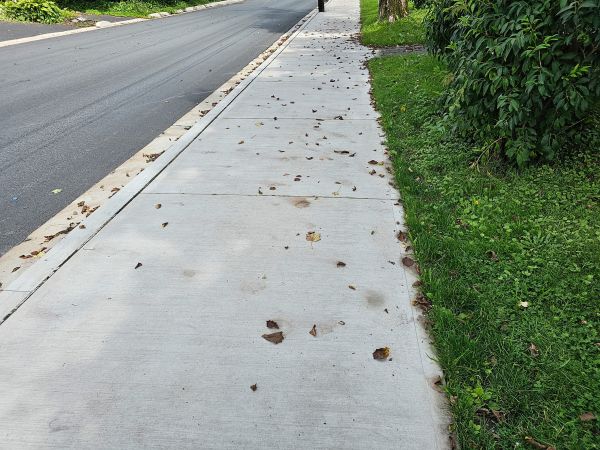 Cost of Sidewalk Renovation in Fort Collins