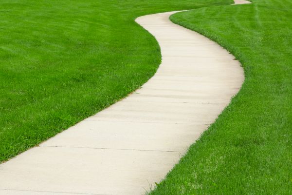 Cost of Walkway Building in Fort Collins