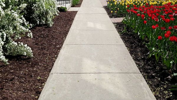 Cost of Sidewalk Slab Replacement in Fort Collins