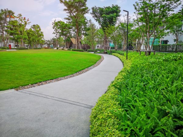 Cost of Cement Walkway Service in Fort Collins