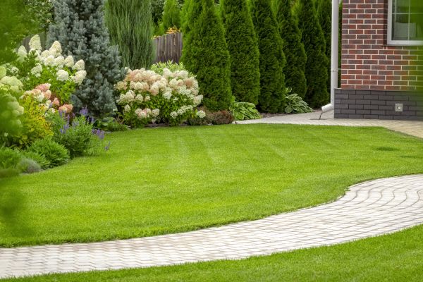 Cost of Landscape Walkway Installation in Fort Collins